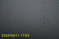 Img20250611_175320.jpg
