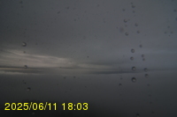 Img20250611_180320.jpg