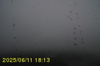 Img20250611_181320.jpg