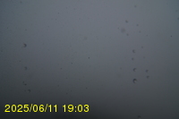 Img20250611_190321.jpg