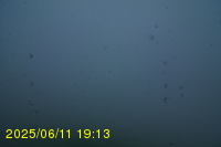 Img20250611_191321.jpg