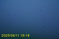 Img20250611_191821.jpg