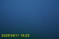Img20250611_192321.jpg