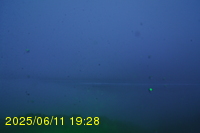 Img20250611_192821.jpg