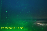 Img20250611_195321.jpg
