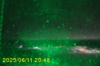Img20250611_204821.jpg