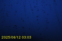 Img20250612_030322.jpg