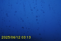 Img20250612_031322.jpg
