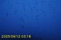 Img20250612_031822.jpg