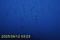 Img20250612_032322.jpg