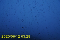 Img20250612_032822.jpg
