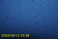 Img20250612_033822.jpg