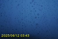 Img20250612_034322.jpg