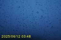 Img20250612_034822.jpg