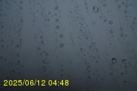 Img20250612_044822.jpg