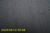 Img20250612_050822.jpg