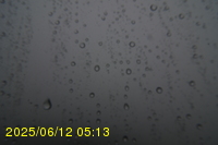 Img20250612_051322.jpg