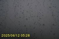 Img20250612_052822.jpg