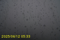 Img20250612_053322.jpg