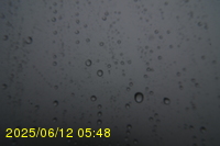 Img20250612_054822.jpg