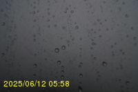 Img20250612_055822.jpg