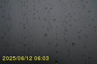 Img20250612_060322.jpg