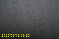 Img20250612_062323.jpg