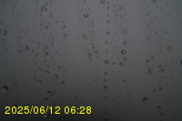 Img20250612_062823.jpg
