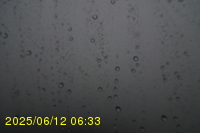Img20250612_063323.jpg