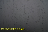 Img20250612_064823.jpg