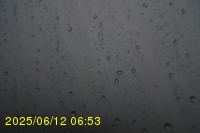 Img20250612_065323.jpg