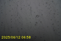 Img20250612_065823.jpg