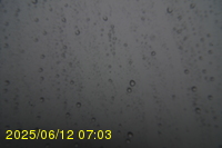 Img20250612_070323.jpg