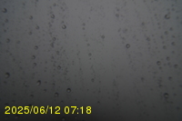 Img20250612_071823.jpg