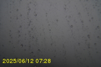 Img20250612_072823.jpg