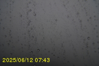 Img20250612_074323.jpg