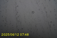 Img20250612_074823.jpg