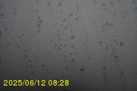 Img20250612_082823.jpg