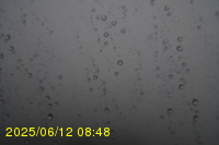 Img20250612_084823.jpg