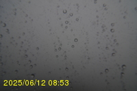 Img20250612_085323.jpg