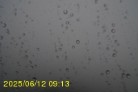 Img20250612_091323.jpg