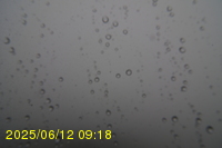 Img20250612_091823.jpg