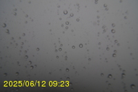Img20250612_092323.jpg