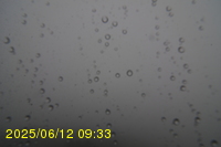 Img20250612_093323.jpg