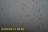 Img20250612_095323.jpg