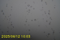 Img20250612_100323.jpg
