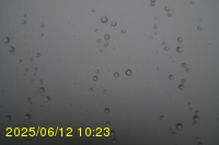 Img20250612_102323.jpg