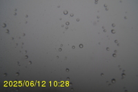 Img20250612_102823.jpg