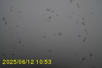 Img20250612_105323.jpg