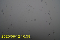 Img20250612_105823.jpg